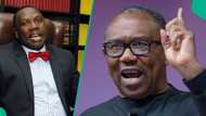 Hadimin Tinubu ya hango abin da zai faru da Peter Obi a jam'iyyar ADC