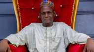 Kano: Shugaban Jam’iyyar NNPP, Hashim Habib, Ya Yi Maraba Da Kwankwaso, Amma Ya Yi Masa Wani Muhimmin Gargaɗi