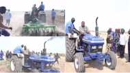 He's hardworking: Video captures Governor Zulum of Borno state harrowing his own farm, many react