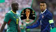 France vs Senegal: Mysterious cat predicts 2026 FIFA World Cup match