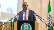 We voted and fought for you: Reactions as Nigerian governor sacks over 500 workers, protest erupts