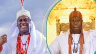 Ooni of Ife: Palace guards shield monarch during his event as he tries to sit, peeps ask questions