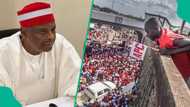Breaking: Former APC leader in Kano resigns, video trends