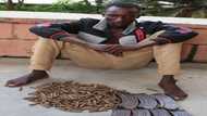 An cafke mai yi wa ƴan fashi da garkuwa jigilar harsashi a Neja (Hoto)