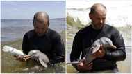 Man enters inside ocean, feeds animal with bottle like it's human baby, photos go viral