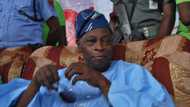Nigeria progressing to anachy: Olu Falae makes terrible statement about 2023 general elections