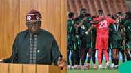 President Bola Tinubu called to rescue Nigerian football after failure to qualify for 2026 World Cup