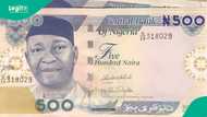 History of Nigeria's currency: Shillings, pounds, and the birth of the naira