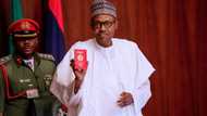 New 10-year international passport goes for N70,000 - NIS