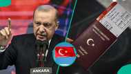 Turkey publishes 8 ways foreigners can become citizens, releases official eligibility rules