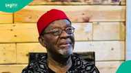 Nollywood mourns as veteran actor chief Fabian Adibe dies at 82: "May his noble soul rest in peace"