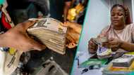 New report shows women repay loans better than men in Nigeria