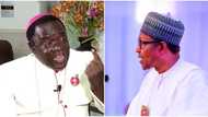 This is what will happen if Buhari arrests Bishop Kukah - Dino Melaye warns