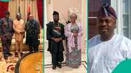 “No be dis guy unclad for bush?” Davido drags Osun APC leader over Gov Adeleke's defection rumours
