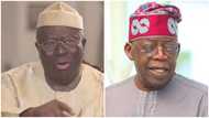 2023: Tinubu's ambition hits rock in southwest as Afenifere plans new political party