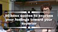 80 boss quotes to express your feelings toward your superior