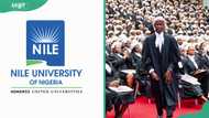 Nile University scholarship options and how to apply for them