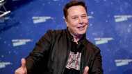 Elon Musk says there is no one to take CEO role at Twitter after own poll says he should step down