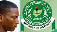 JAMB candidate performs poorly in UTME, scores 17 marks in physics and 116 aggregate