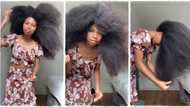 "I want the oil you are using": TikTok lady posts video of her long natural hair that touches her back