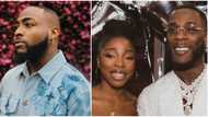 Burna Boy’s Nissi sister reacts to Davido's ‘new cat comment: "As e dey sweet us, e dey pain dem"