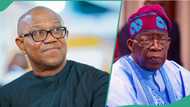 Peter Obi drops bombshell, mentions how Tinubu “In 2 years, borrowed more money than 3 presidents combined”
