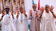 2019 polls: PDP candidates in Northern Nigeria openly canvassing for president’s re-election - Buhari's group