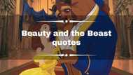 Memorable Beauty and the Beast quotes from the iconic Disney film