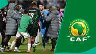 AFCON 2025: CAF launches official investigation into violent scenes after Algeria vs Nigeria