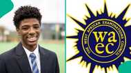 WAEC: Student aces WASSCE with 9 As, qualifies for Ivy League scholarship opportunity