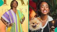 DJ Cuppy laments having a lot of suitors who cannot spell Pomeranian: "You dey check spelling?"