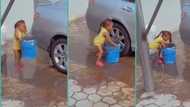 "Pay her well": 2-year-old girl washes mum's car alone in viral video, netizens react