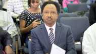 2023: Kaduna APC dismisses Shehu Sani's governorship ambition