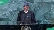 Nigerians react as former President Buhari dies in London hospital, "Sad to hear this"
