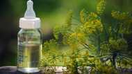 Dill water for newborns: a step-by-step recipe