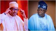 2023 elections: Buhari-Tinubu rift? After Abeokuta outburst, Jagaban makes smart move