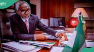 Gbajabiamila: Activist sends crucial message to Tinubu's CoS over social media regulation