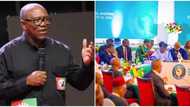 Niger coup D’état: Peter Obi reveals what ECOWAS should do