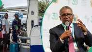 Marketers explain decision to import petrol from abroad despite Dangote Refinery, seek more licences