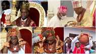 5 powerful coronation photos of 37-year-old Olu of Warri who broke over 50 years old curse in Delta