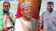 Top 3 best performing Nigerian senators in 2025 named