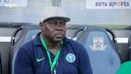 WAFCON 2025: Super Falcons coach declares 'war' on Morocco ahead of final