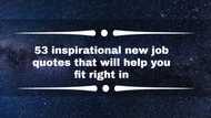 53 inspirational new job quotes that will help you fit right in