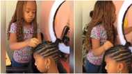 Lovely video of young girl plaiting the hair of another kid stuns social media