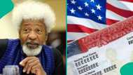 “I have been banned”: US revokes Wole Soyinka’s visa, Nobel Laureate breaks silence