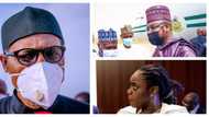 Pantami, Adeosun placed on scale as presidency makes crucial clarification