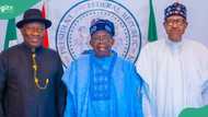 Details of Tinubu’s meeting with Buhari, Jonathan, Ribadu, 36 state governors emerge