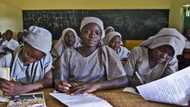 Insecurity: INGO to establish peace, security clubs in schools across northern Nigeria