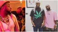 Isreal DMW provokes boss Davido again in public, singer forced to give him a hard knock on the head in video