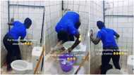 Young lady who washes toilet, cleans room showcases her hustle in video, says she's her mother's only hope